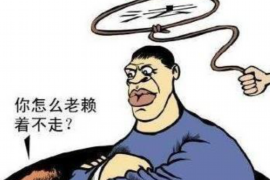 丰镇专业讨债公司有哪些核心服务？